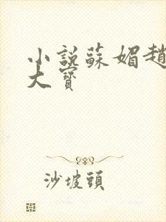 小说苏媚赵勇赵大宝