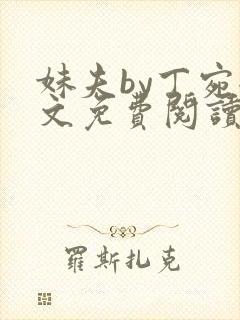 妹夫by丁宛全文免费阅读笔趣阁