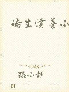 娇生惯养小说