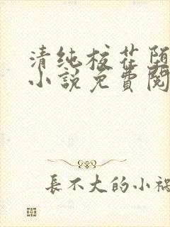 清纯校花堕落记小说免费阅读