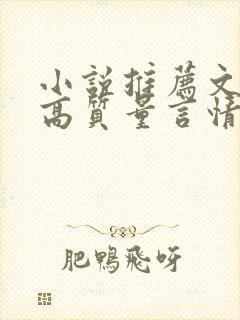 小说推荐文笔好高质量言情