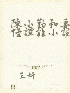 陈小勤和妻子宋佳谭能小说