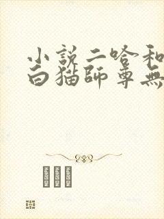 小说二哈和他的白猫师尊无删减