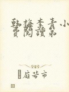 韩梅李青小说免费阅读第