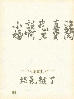 小说我真没想结婚啊免费阅读全文