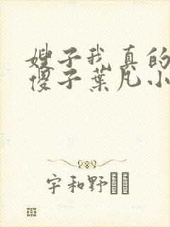 嫂子我真的不是傻子叶凡小说 原名