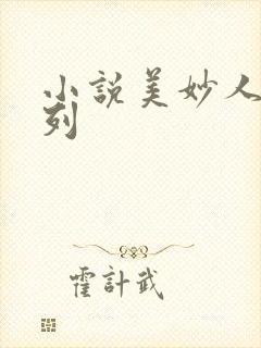 小说美妙人妻系列