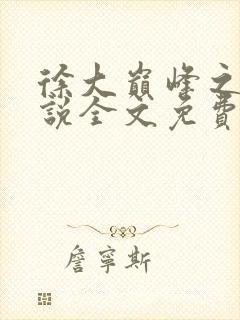 徐大巅峰之路小说全文免费阅读