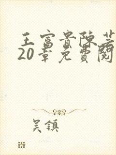 王富贵陈芸小说20章免费阅读