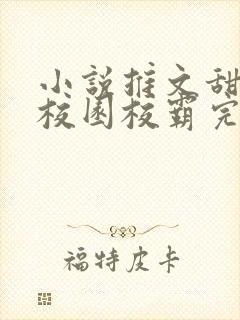 小说推文甜宠文校园校霸完结文