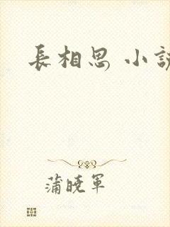 长相思 小说