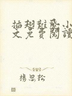 插翅难飞小说全文免费阅读无弹窗封面