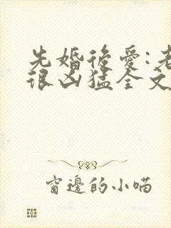 先婚后爱:老公很凶猛全文阅读免费