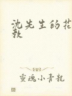沈先生的花式管教
