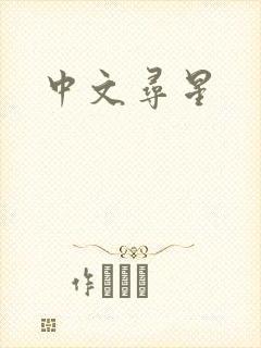 中文寻星