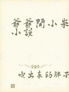 爷爷开小米的包小说