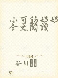 小可的奶奶小说全文阅读