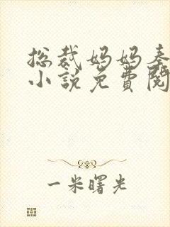 总裁妈妈秦心媚小说免费阅读全文封面