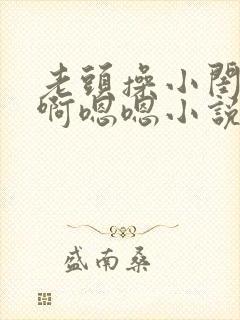 老头操小闺女啊啊嗯嗯小说