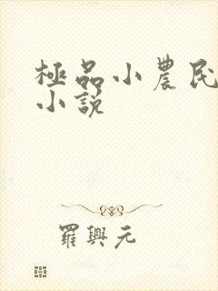 极品小农民周青小说封面