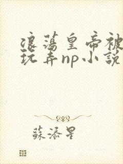 浪荡皇帝被多人玩弄np小说封面