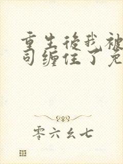 重生后我被前上司缠住了免费阅读