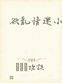欲乱情迷小说
