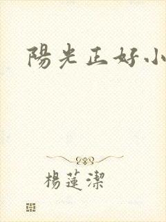 阳光正好小说
