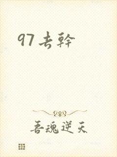 97去干封面