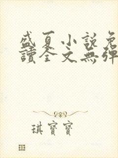 盛夏小说免费阅读全文无弹窗