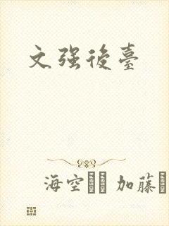 文强后台