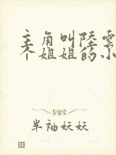 主角叫陆云有七个姐姐的小说