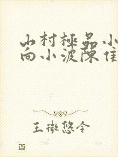 山村极品小神医向小波陈隹彗