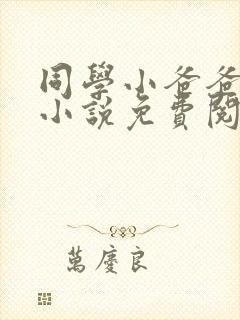 同学小爸爸李凯小说免费阅读全文