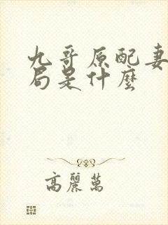 九哥原配妻子结局是什么封面
