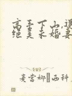 高手下山,退婚绝美未婚妻全集