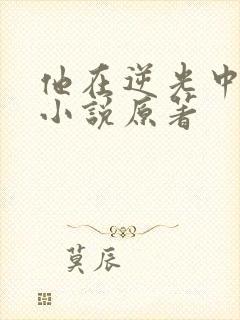 他在逆光中告白小说原著