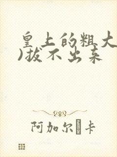 皇上的粗大(h)拔不出来