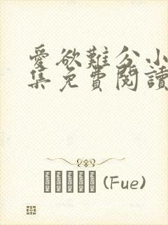 爱欲难分小说全集免费阅读