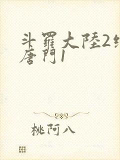 斗罗大陆2绝世唐门1封面