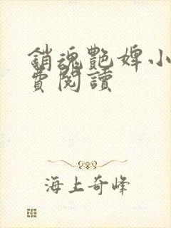 销魂艳婢小说免费阅读