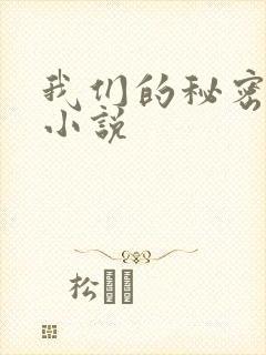 我们的秘密泰剧小说