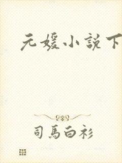 元媛小说下载封面
