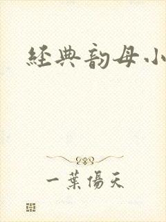 经典韵母小说