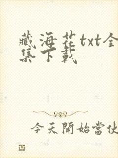 藏海花txt全集下载