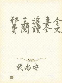 邪王追妻全文免费阅读全文