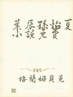 叶辰孙怡夏若雪小说免费