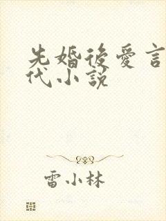 先婚后爱言情现代小说封面