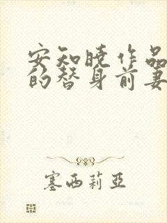 安知晓作品总裁的替身前妻免费版封面