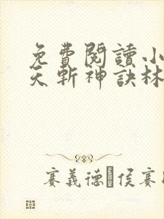 免费阅读小说九天斩神诀林辰封面